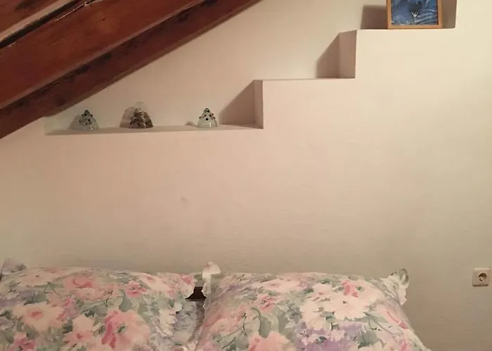 Apartment Dimitrijevic